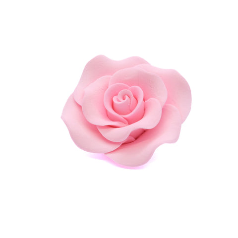 Alice Rose (Large)